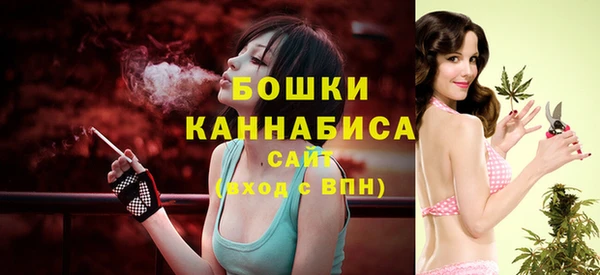крисы Бугульма