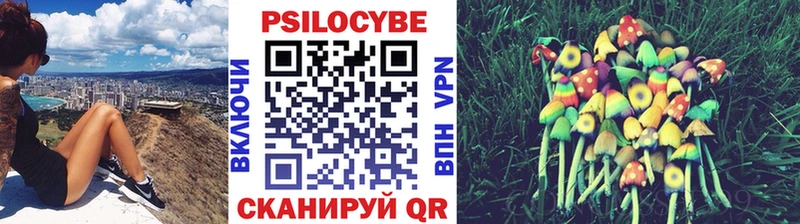 Галлюциногенные грибы MAGIC MUSHROOMS  как найти закладки  Димитровград 